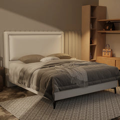 Jinny Genuine Leather Divan Bed Frame XYXBED