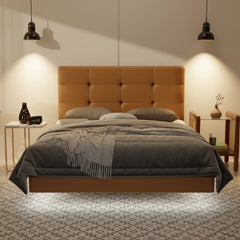 Rachelle Genuine Leather Floating Bed Frame (With LED) XYXBED