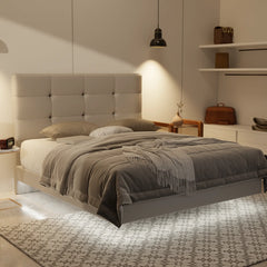 Rachelle Genuine Leather Floating Bed Frame (With LED) XYXBED
