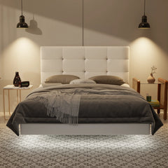 Rachelle Genuine Leather Floating Bed Frame (With LED) XYXBED