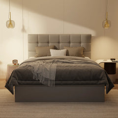 Mancine Genuine Leather Storage Bed (Gas Lift) XYXBED