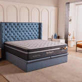 Megafurniture | Dr.Maxis Paiza Platinum 14 Inch Pocketed Spring Mattress | Mattress