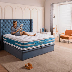 Megafurniture | Dr.Maxis Royale Glacier 16 Inch Pocketed Spring Mattress | Mattress