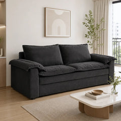 Farselle Fabric Sofa Bed (Water Repellent & Pet Friendly)
