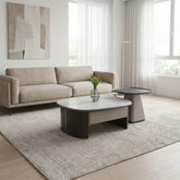 Handerin Coffee Table TS