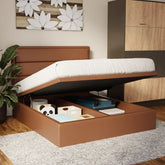 Zorvain Faux Leather Storage Bed Frame (Pet Friendly)