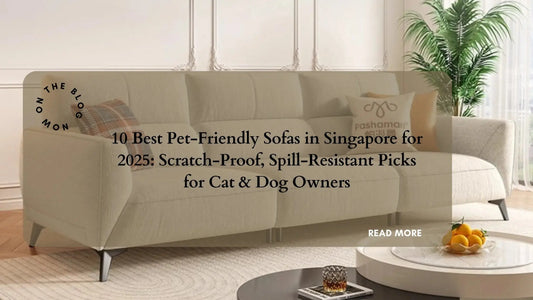 Top 10 Stylish Pet-Friendly Sofas Every Pet Owner in Singapore Needs
