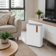 Advanced Dual-Filter Air Purifier