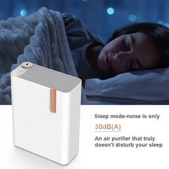 Advanced Dual-Filter Air Purifier