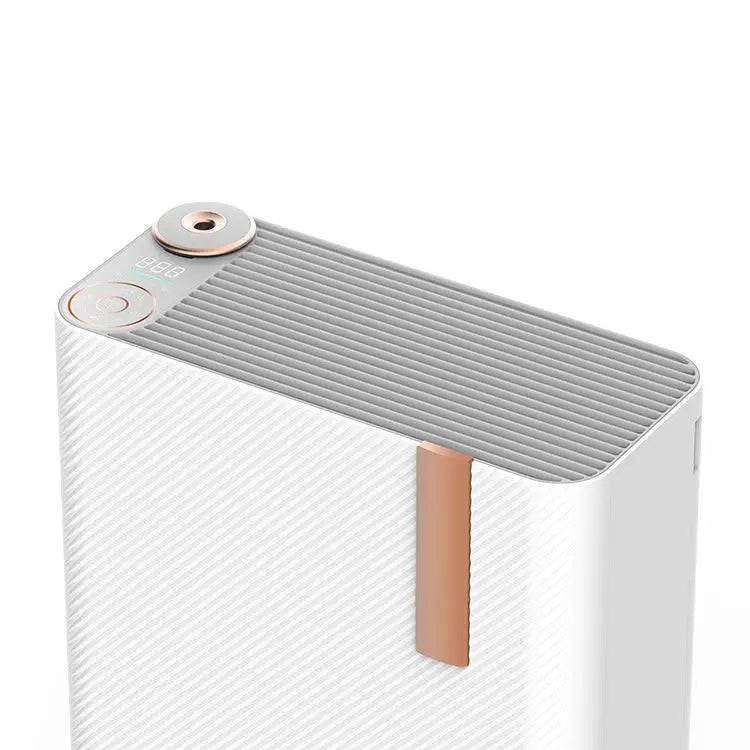 Advanced Dual-Filter Air Purifier
