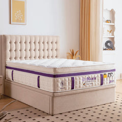 Megafurniture | Dr.Maxis Cool Violet 15 Inch Pocketed Spring Mattress | Mattress