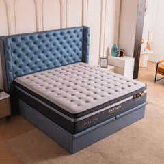 Megafurniture | Dr.Maxis Paiza Platinum 14 Inch Pocketed Spring Mattress | Mattress