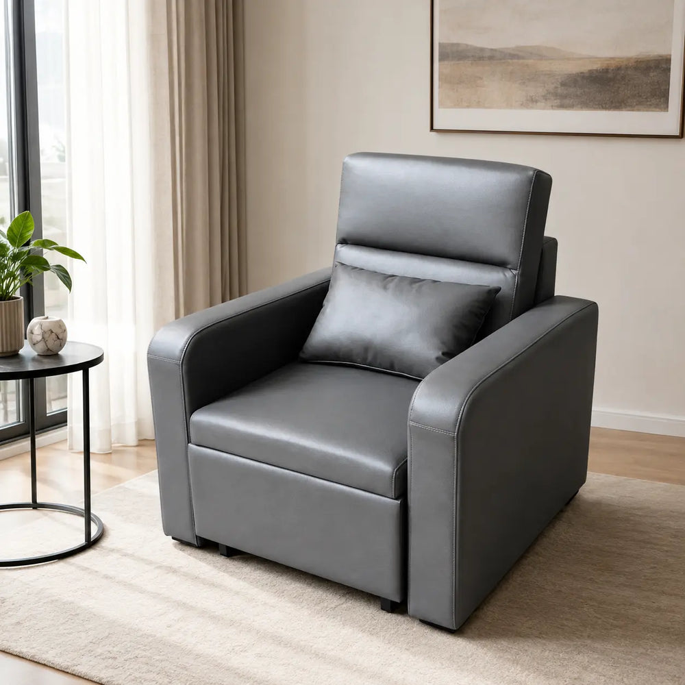 Zelmond Sofa Bed (Pet Friendly) ACE