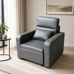 Zelmond Sofa Bed (Pet Friendly) ACE