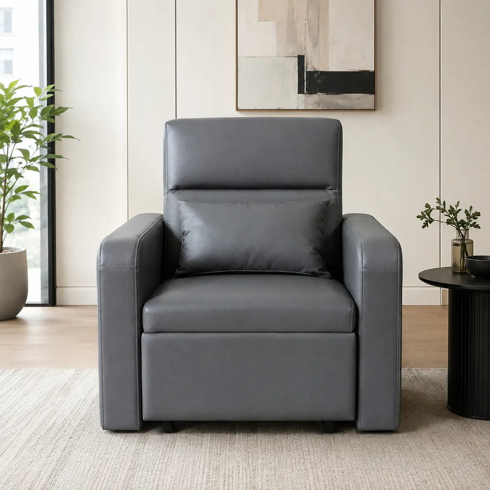 Zelmond Sofa Bed (Pet Friendly) ACE