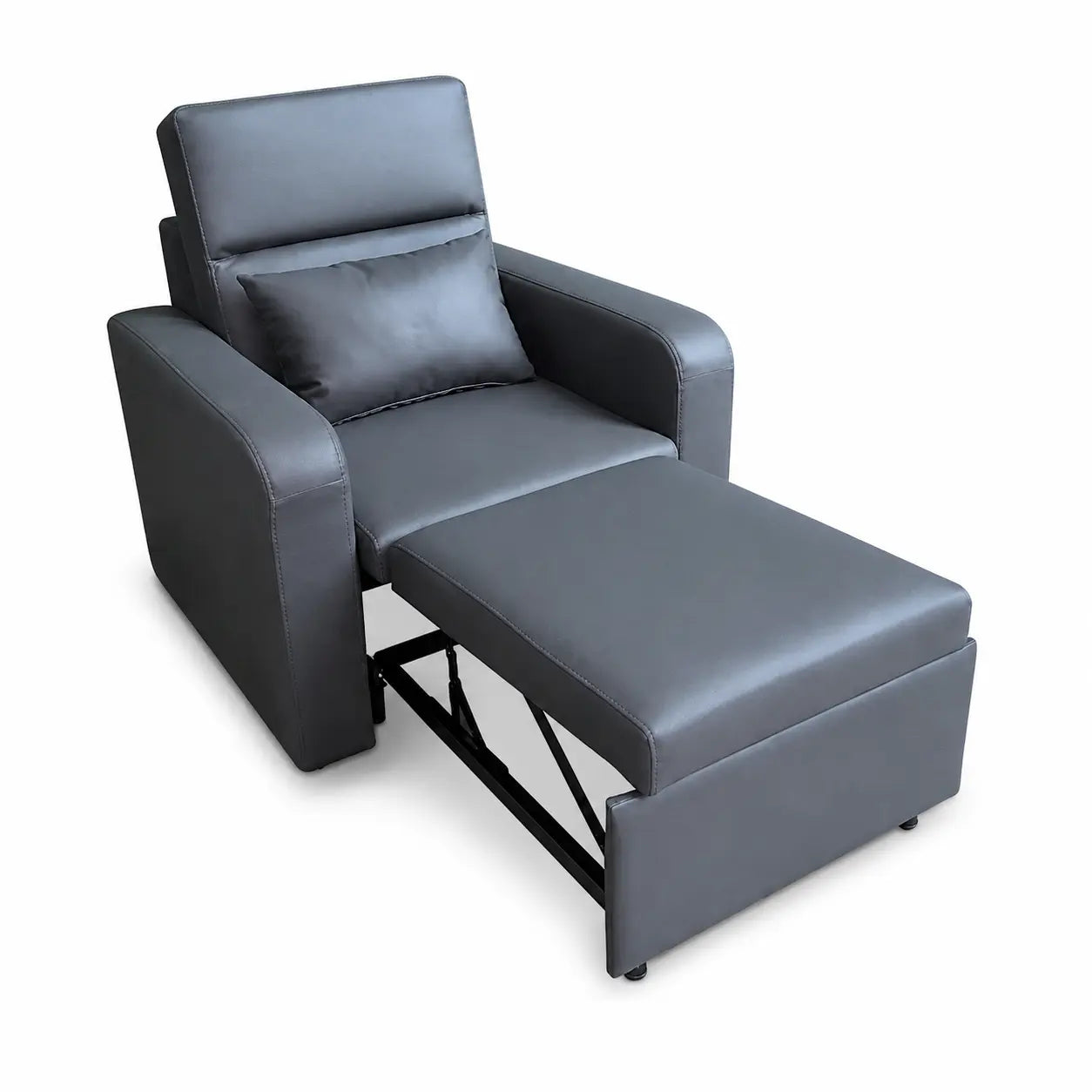 Zelmond Sofa Bed (Pet Friendly) ACE