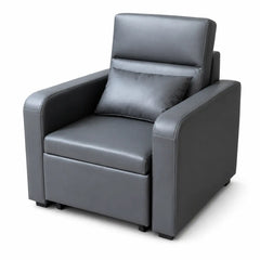 Zelmond Sofa Bed (Pet Friendly) ACE