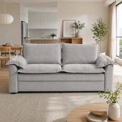 Farselle Fabric Sofa Bed (Water Repellent & Pet Friendly)