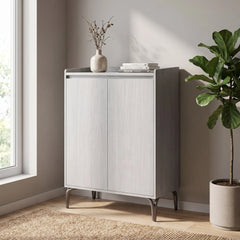 Elviro 2-Door Shoe Cabinet