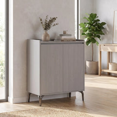 Elviro 2-Door Shoe Cabinet