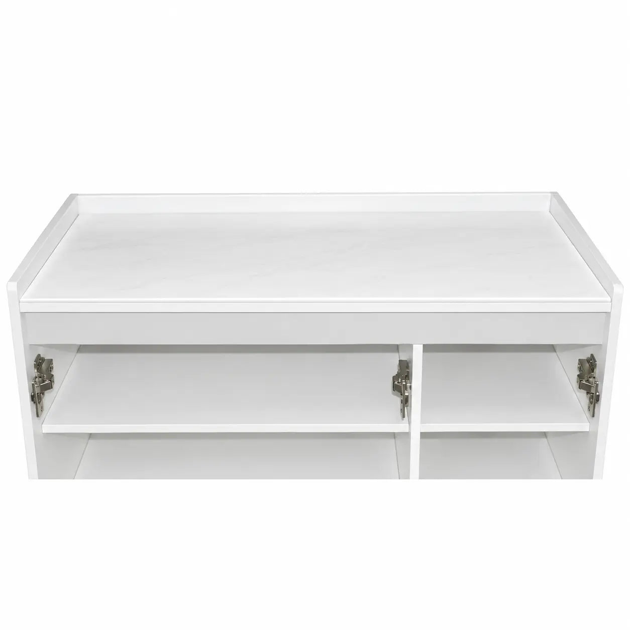 Elviro 2-Door Shoe Cabinet