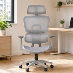 Ovelenza High Back Mesh Office Chair