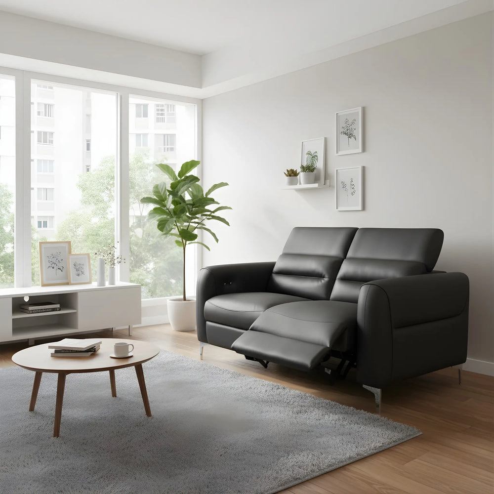 Recliner Sofa Singapore