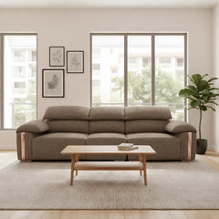 Elricon Fabric Adjustable Armrest Sofa (Pet Friendly & Easy Clean)