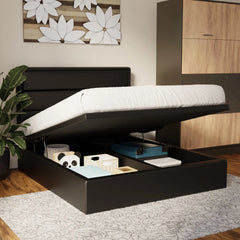 Zorvain Faux Leather Storage Bed Frame (Pet Friendly)