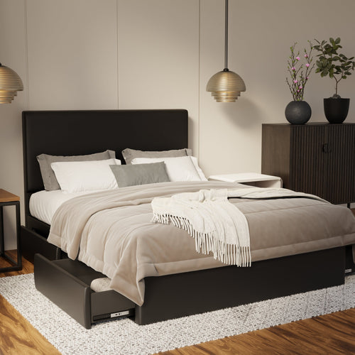 Kira Genuine Leather Drawer Bed By Somnuz SSE